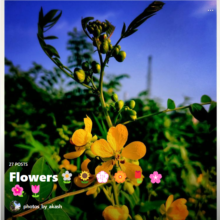 Flower image